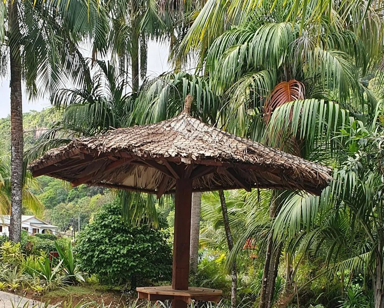 Cashew Nut Grove Chalets Port Glaud