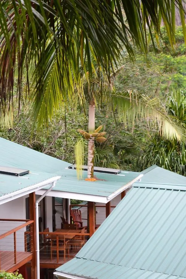 Cashew Nut Grove Chalets Port Glaud Seychelles - szigetek