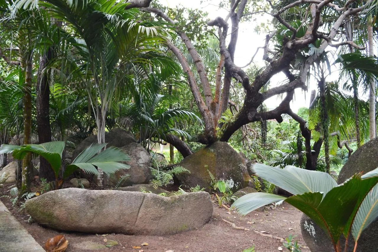 Cashew Nut Grove Chalets Port Glaud