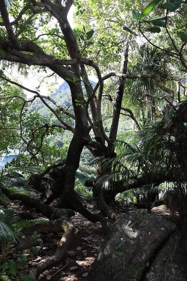 Cashew Nut Grove Chalets Port Glaud Seychelles